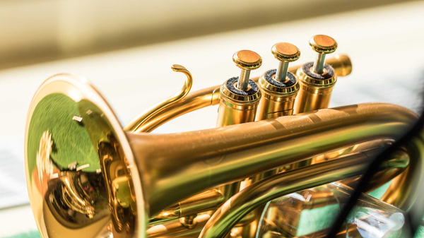 Trompete im Schaufenster eines Musikalienhandels